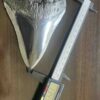 メガロドンの歯の化石 mgaz5002