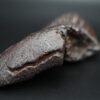 メガロドンの歯の化石 mgaz5003