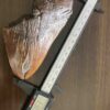 メガロドンの歯の化石 mgaz5003